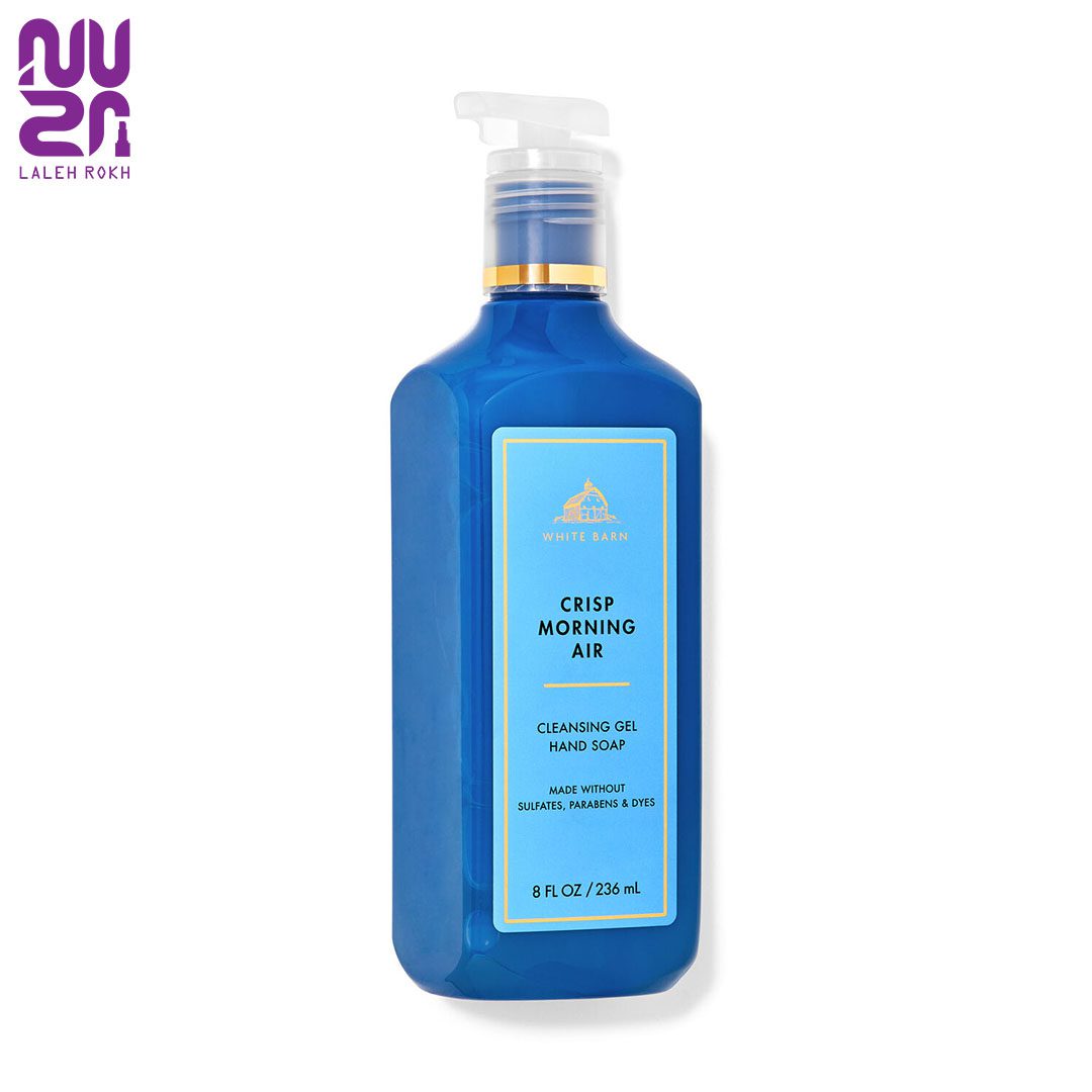 Bath and Body Crisp Morning Air Cleansing Foam Hand Soap فوم شسشتوی دست رایحه هوای صبح بث اند بادی 236میل | Bath and Body Crisp Morning Air Cleansing Foam Hand Soap - Image 1