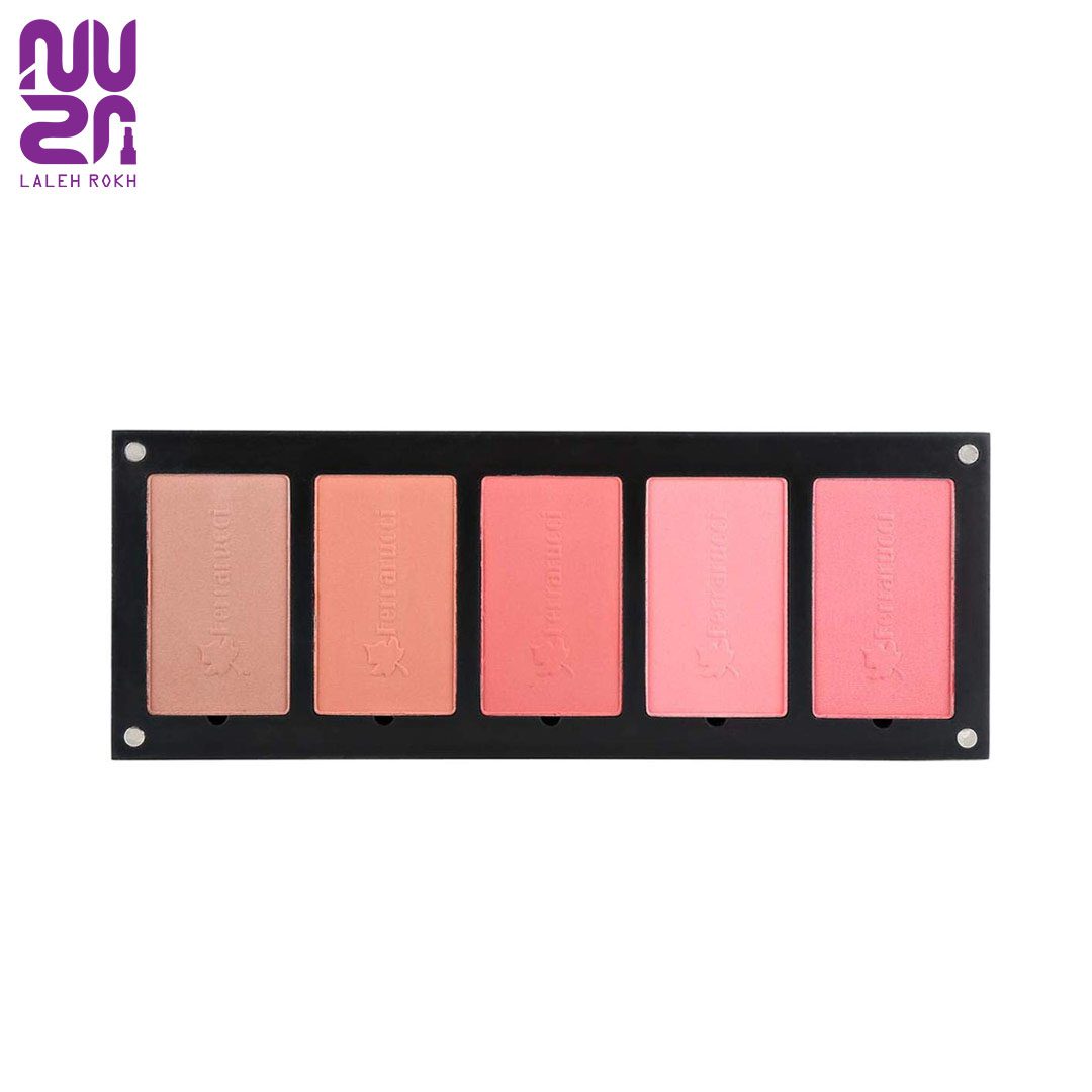 Ferrarucci professional make up 01 پالت رژگونه 5 رنگ فراروسی 01 | professional make up 01 - تصویر 1